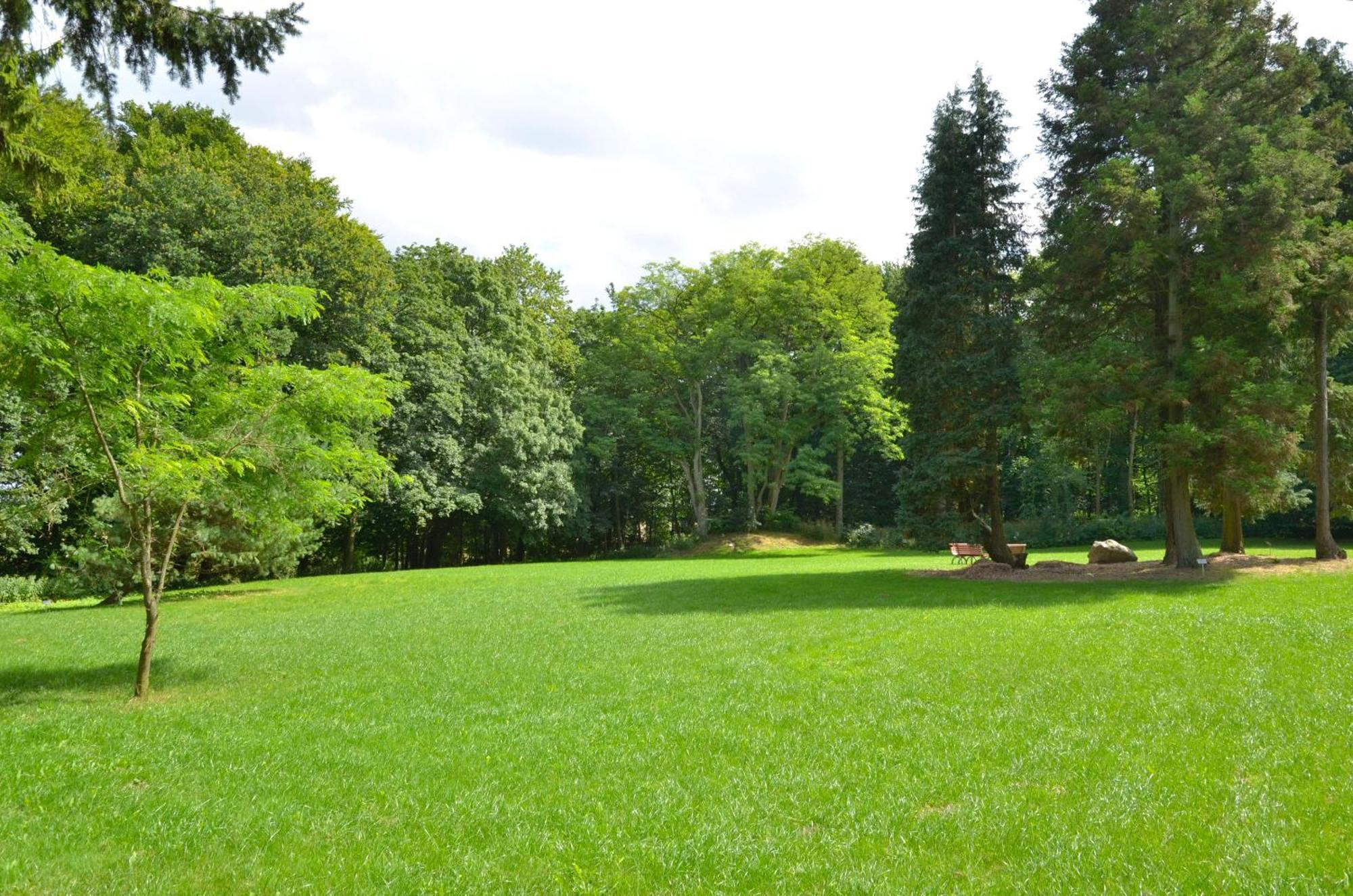 Jagdschloss Zu Hohen Niendorf Fewo 7 Luaran gambar